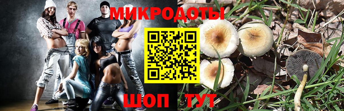 Ивантеевка  Галлюциногенные грибы прущие грибы  Вход с VPN 